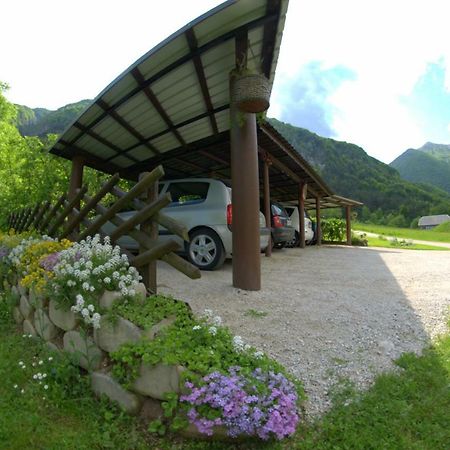 Apartma Bel Zaga Exterior foto