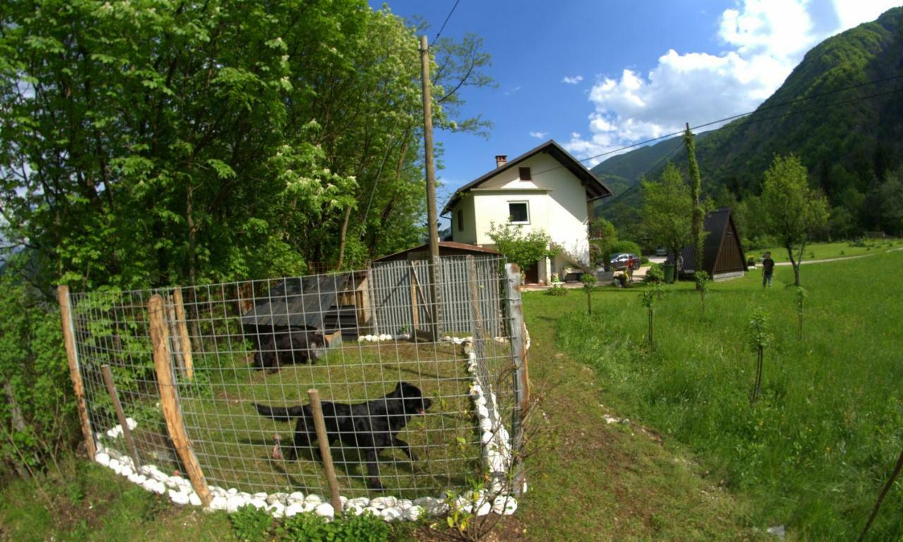 Apartma Bel Zaga Exterior foto